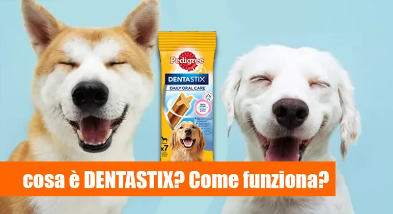 Dentastik recensione