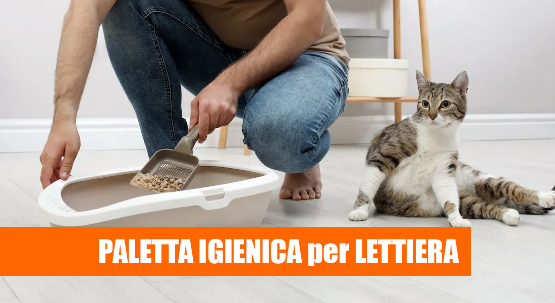 Lettiera per gatti aperta Semi chiusa toilette profonda scatola di