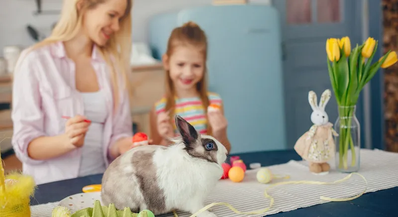 coniglio è un buon animale domestico